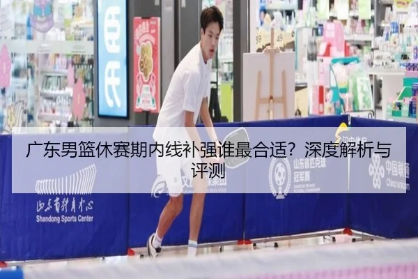 广东男篮休赛期内线补强谁最合适？深度解析与评测